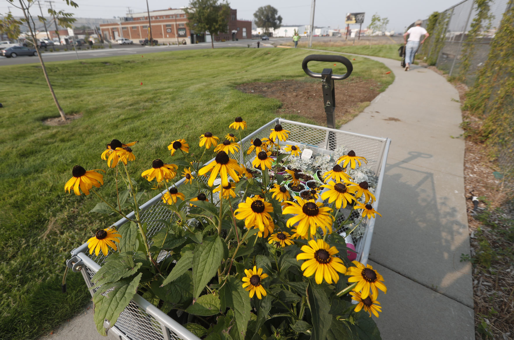 Girl Scouts plant flowers in Billings Depot Pocket Park